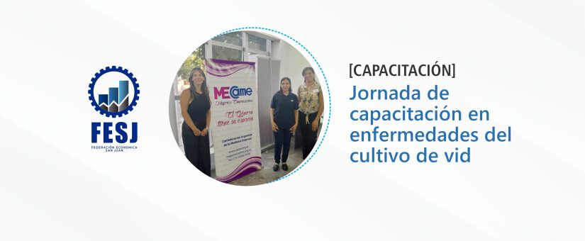 Capacitación en enfermedades del cultivo de vid